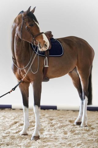 MANTILLA HARCOUR CHANTILLY