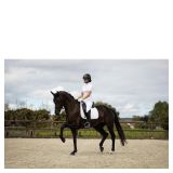 MANTILLA DOMA BR COSTA DE MARFIL