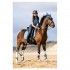 POLO BR EEVOLV EVAN INFANTIL