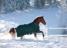 MANTA RAMBO ORIGINAL NEW HEAVY EXTERIOR :VERDE/PLA