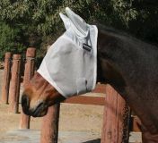 MASCARA PROFESSIONAL'S CHOICE EQUISENTIAL ANTIMOSC