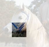 MONTANTE CABEZADA PODIUM BIOTHANE CON MOSQUETÓN (P