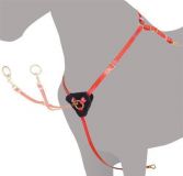 PECHOPETRAL RAID PODIUM BIOTHANE FULL