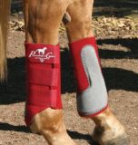 PROTECTOR PROFESSIONAL'S CHOICE EASY FIT (PAR)